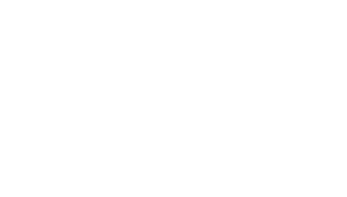 Box Falafels (6pc.)